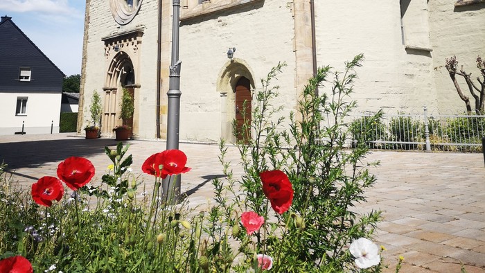 Blick auf die Margaretenkirche mit Sommerblumen im Vordergrund
