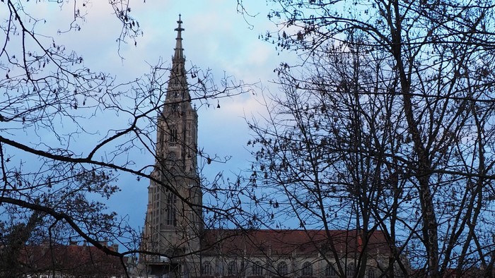 Ein hoher Kirchturm ragt hinter kahlen Bäumen empor, der Himmel ist bewölkt