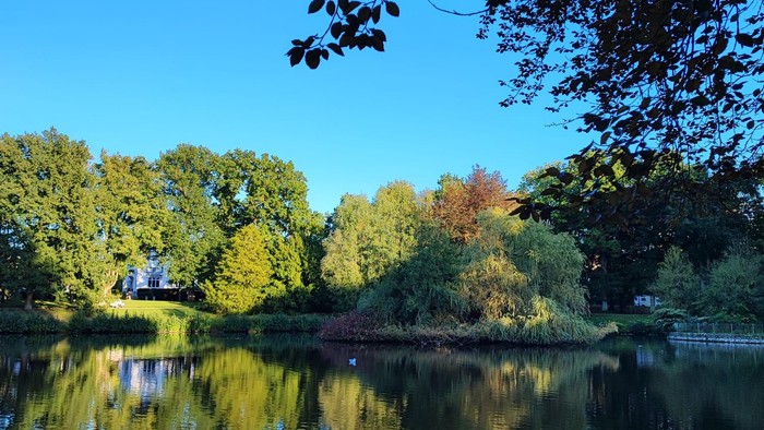 Blick auf einen See in vorherbstlicher Abendstimmung. Das Wasser ist blau, klar und ruhig. Am gegenüberliegenden Ufer sieht man ein paar Bäume von grün bis herbstlich gefärbt.
