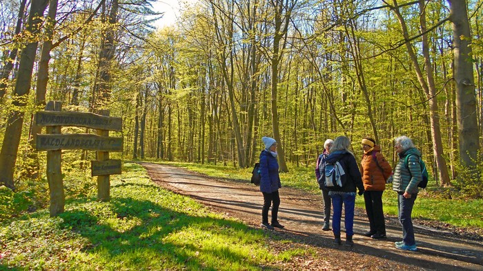Pilger in der Vorpommerschen Waldlandschaft