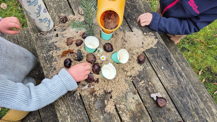 Kinder sortieren und untersuchen kleine dunkle Gegenstände wie Eicheln auf einem Holztisch im Freien.
