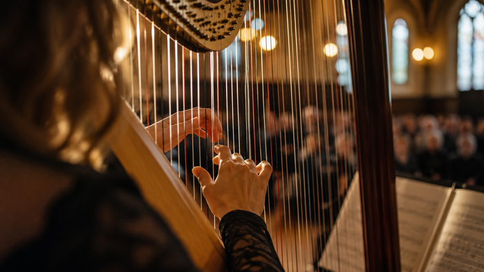 Eine Person spielt auf einer Harfe in einer Kirche, während im unscharfen Hintergrund das Publikum auf den Bänken sitzt und hohe Kirchenfenster sowie warme Leuchten den Raum erhellen.