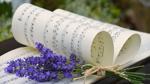 Notenblätter zu einem Herz geformt und Lavendel