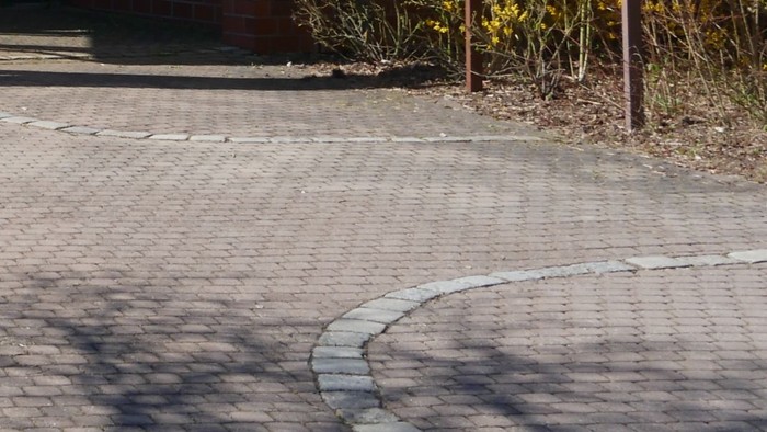 Modernes Rundgebäude mit Glaseingangstüren, umgeben von Bäumen und einer gepflasterten Fläche unter klarem Himmel.