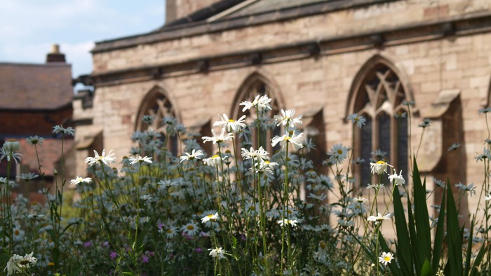 Flowers in front of old stone building with arched windows.
