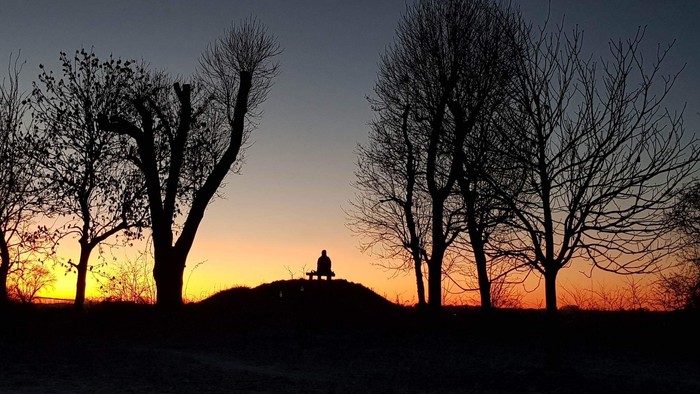 En sildet skov ved solnedgang