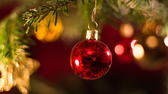 Ein roter Christbaumschmuck hängt an einem Tannenzweig.