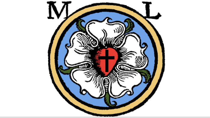 Das Bild zeigt ein blaues Emblem mit einem roten Kreuz in der Mitte.