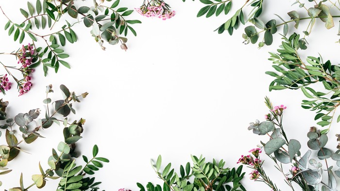 Ein Kranz aus grünen Blättern und rosa Blüten auf weißem Hintergrund