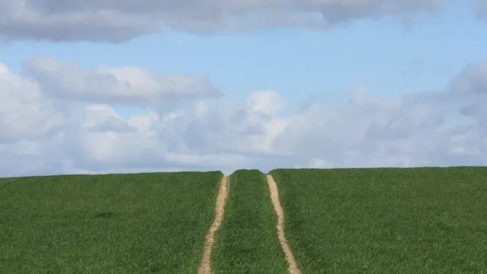Ein gewundener Feldweg teilt ein weites, saftig grünes Feld unter einem hellen, wolkengefleckten Himmel.