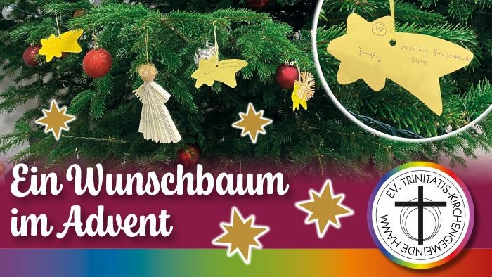 Verzierter Adventswunschbaum mit Sternschmuck und handgeschriebenen Notizen, der Weihnachtswünsche feiert.