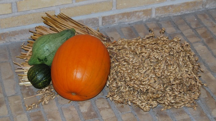 Frisk appelsinfrugt, grøn squash, tørrede majskolber og korn på en murstensbelagt overflade.
