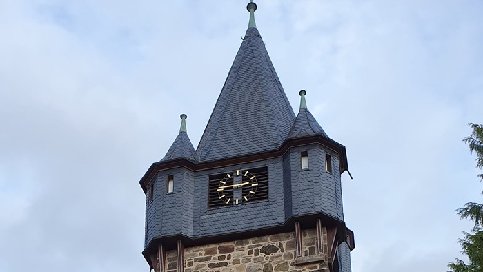 Historischer Steinturmuhr mit spitzem Dach und aufwendigen Mauerwerksdetails in einer parkähnlichen Umgebung.