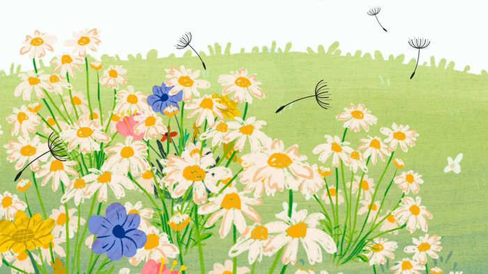 Farverigt eng fyldt med tusindfryd, vilde blomster og dansende mælkebøttefrø mod en blød grøn baggrund.