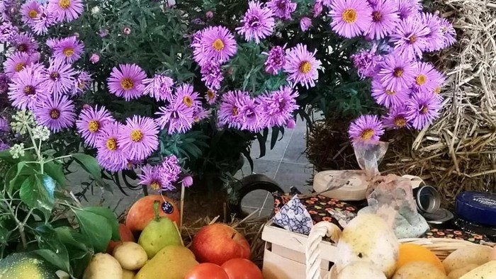 Bunte Herbsternte-Dekoration mit Tomaten, Äpfeln, Kürbissen und blühenden violetten Blumen auf Heu.