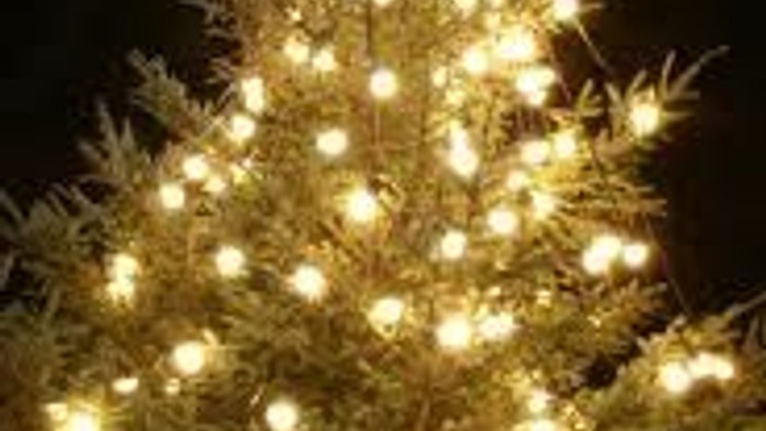 Et smukt oplyst juletræ pyntet med blinkende hvide lys mod en mørk nattehimmel.