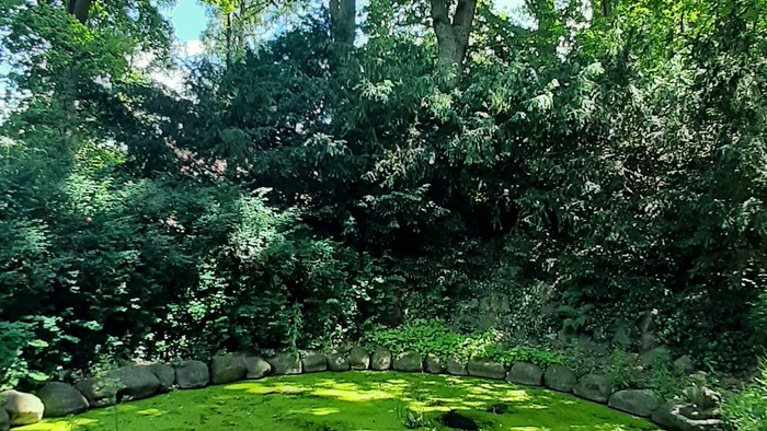 Blick auf einen kleinen mit Algen überschwemmten Teich. Ringsum sind grüne Bäume durch die die Sonne scheint.
