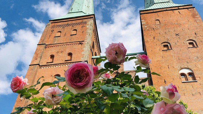 Zwei hohe Ziegelgebäude mit grünen Spitzen und rosa Rosen im Vordergrund