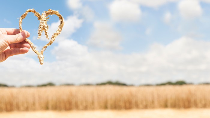 Eine Hand hält ein aus goldenen Weizenhalmen geformtes Herz vor ein weites Feld unter einem blauen Himmel.