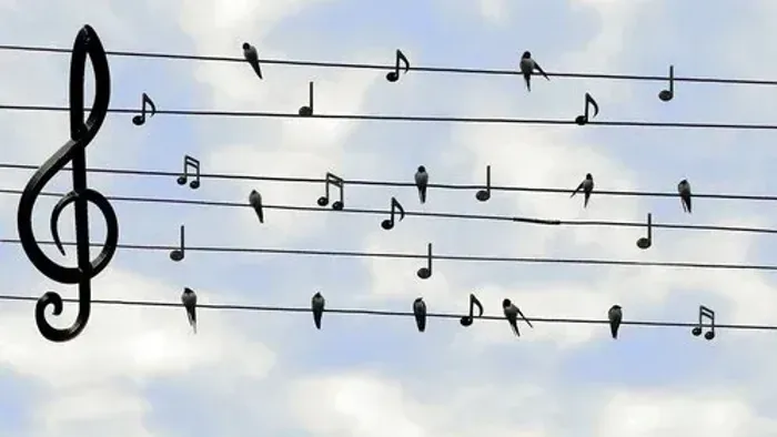 Fugle og musiknoter på tråde mod himmel
