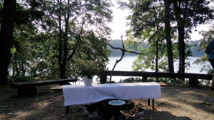 Malerische Picknickfläche am See mit Bank, Tisch und Feuerstelle, umgeben von üppigen Waldbäumen.