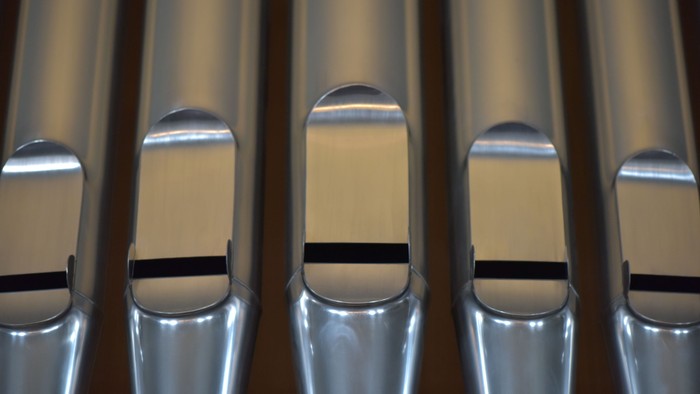 Nahaufnahme polierter Metallknöpfe, die in einer Reihe angeordnet sind und reflektierende, gewölbte Oberflächen aufweisen.