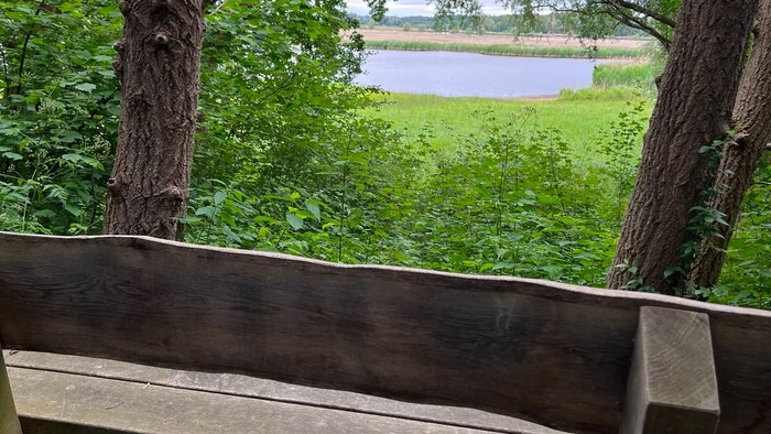 Im Vordergrund steht eine Holzbank. Dahiner folgt der Blick auf eine grüne Wiese, die in einem kleinen See mündet.