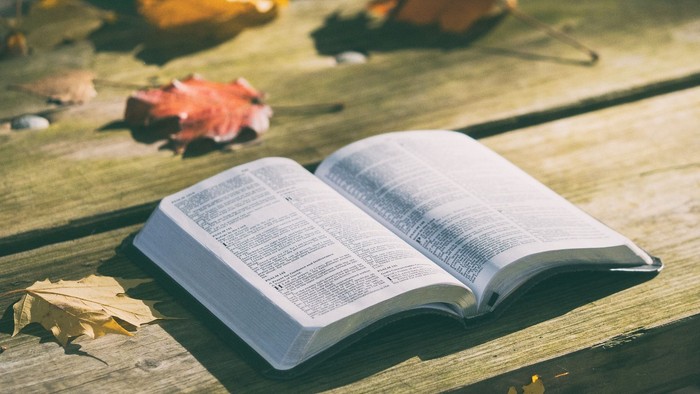 Offenes Buch liegt auf Holzbank im Herbstlaub