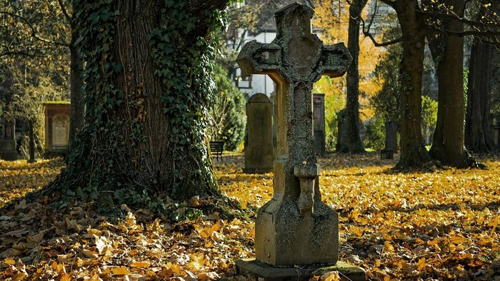 Ein uraltes Steinkreuz ziert einen ruhigen, herbstlichen Friedhof, umgeben von herabgefallenem Laub und hoch aufragenden Bäumen.