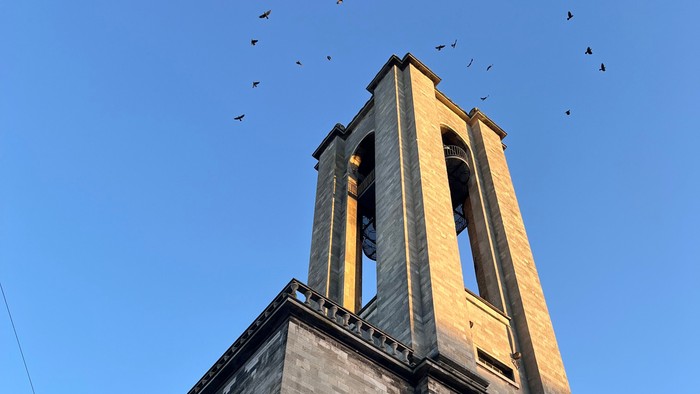 En stenkirke med et højt klokketårn og talrige fugle, der flyver rundt på en klar himmel.