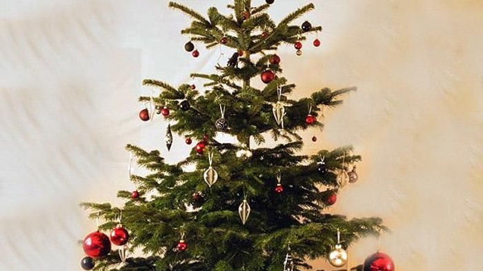 En lille juletree med røde og guldornamenter og en stjerne på toppen