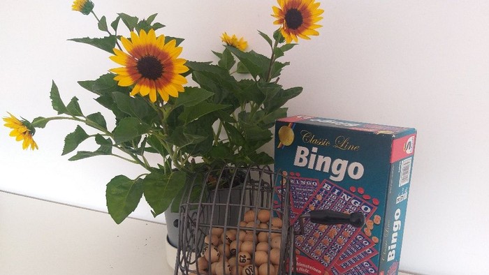Helle Sonnenblumen in einem Vogelhäuschen neben einer Bingo-Spielschachtel und Spielkarten.