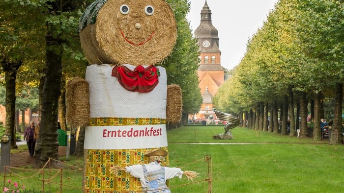 Ein Strohmann steht auf einem Feld mit der Aufschrift 