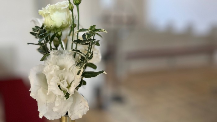 Blomst i kirkebænken i Broager Kirke