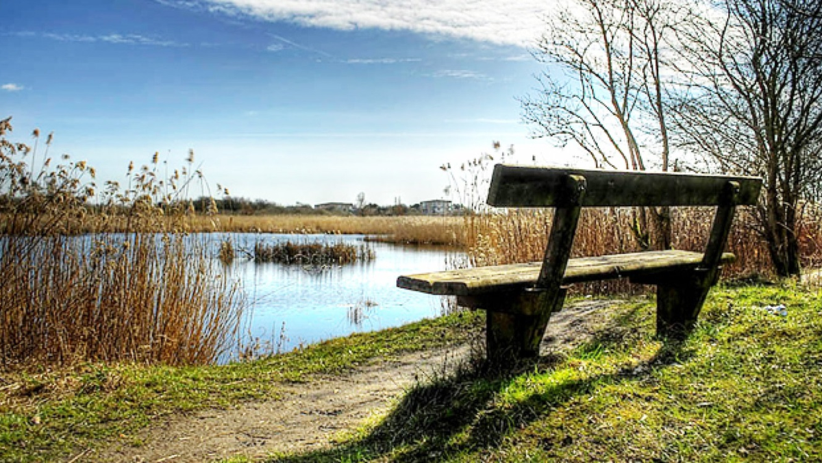 Pilgrimsvandring ved Gunvor Blichfeldt