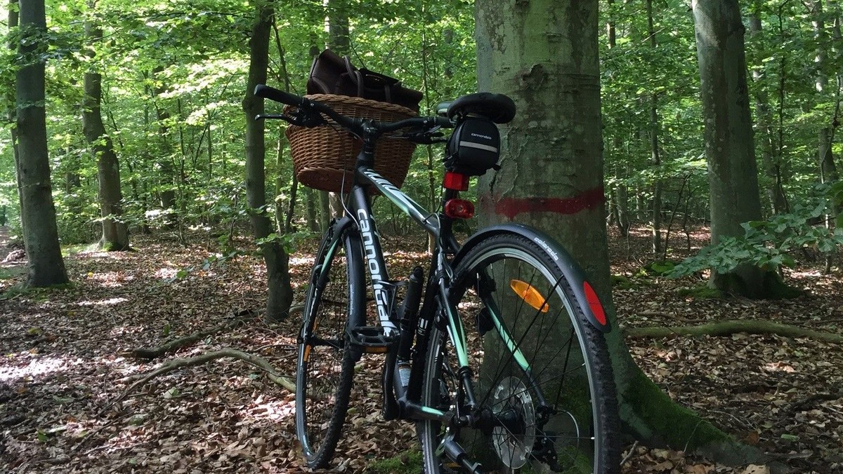 Cykelstafetten - Ålsø-Vejlby-Homå-Hoed