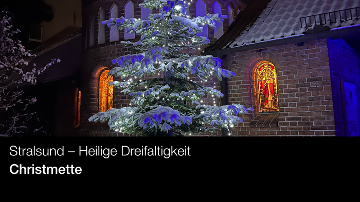 Großer, geschmückter Weihnachtsbaum vor einem Gebäude mit bunten Fenstern