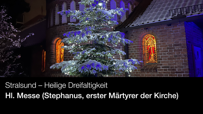 Großer Weihnachtsbaum vor historischer Kirche in Stralsund