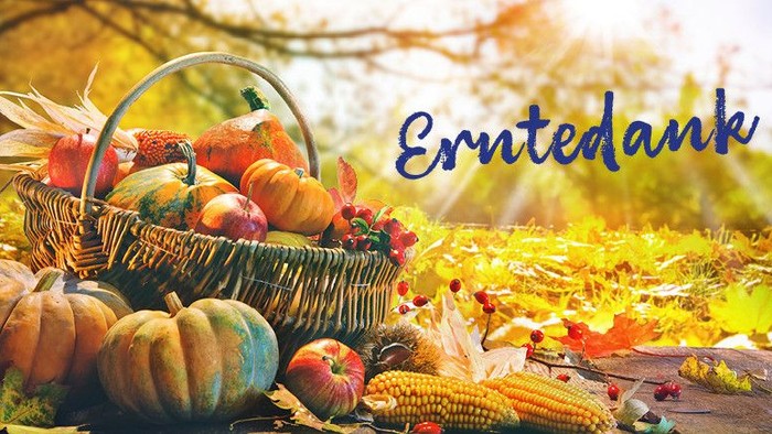 Ein herbstliches Stillleben mit Kürbissen, Mais und bunten Blättern