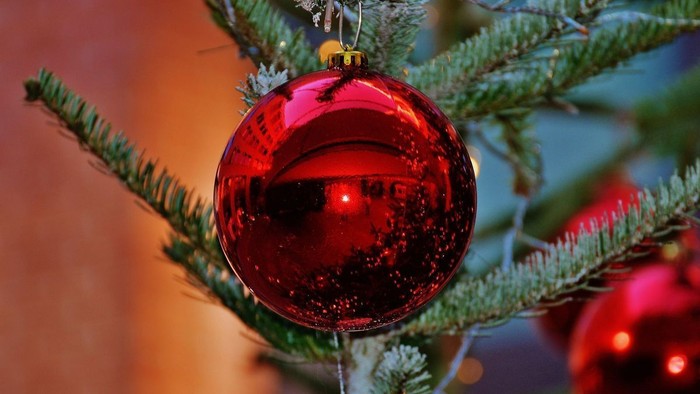 En rød glitrende julekugle hænger på en grøn nøddepalme.