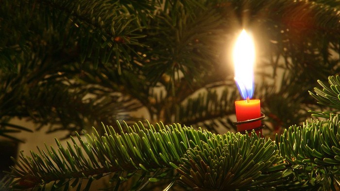 En lysende julelykt på en grønne nåletræ.