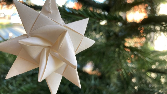 En hvid stjerneudklipning hænger i et juletree.