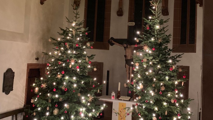 Elegant geschmückte Weihnachtsbäume stehen in einer Kirche, verziert mit Lichtern und Schmuck unter einem sternenklaren Himmel.