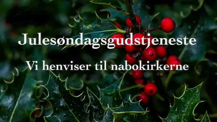 Mistelten