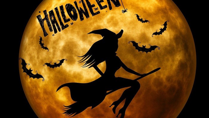 Halloween-tema-silhuet af en heks, der flyver på en kost under en fuldmåne med flagermus.