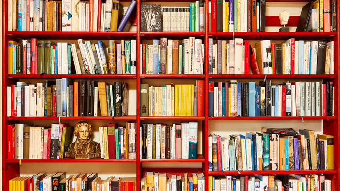 Ein Bücherregal mit vielen Büchern in verschiedenen Farben und Größen.