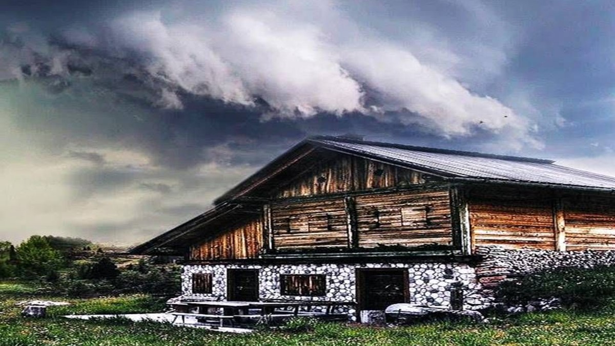 Resilienz - Oase im Alltag