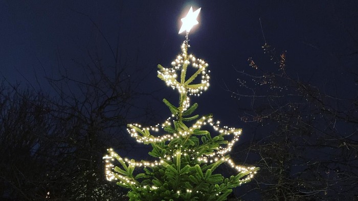 En lyssatte juletree i have med en stjerne på toppen