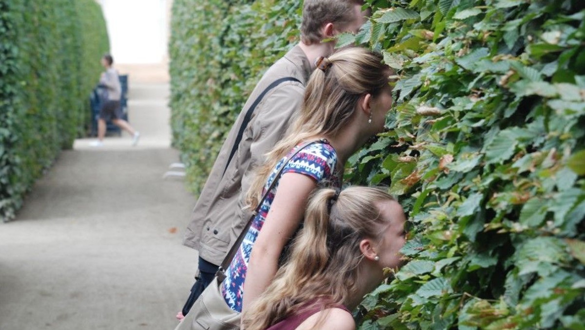 Kindergottesdienst: Entdeckt! Eine Geschichte aus einem Versteck ...