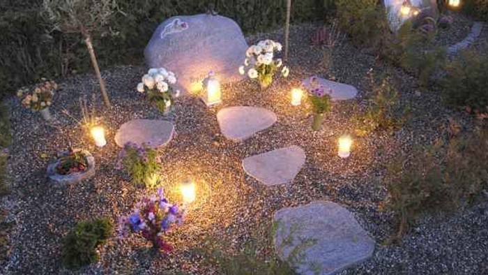 En roskåret have med lysende lygter og blomster.